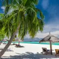 Exclusive Investment Strategies from Atoll Prime Capital for Long-Term Value